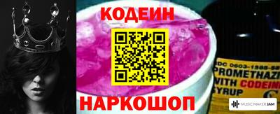 индика Анжеро-Судженск