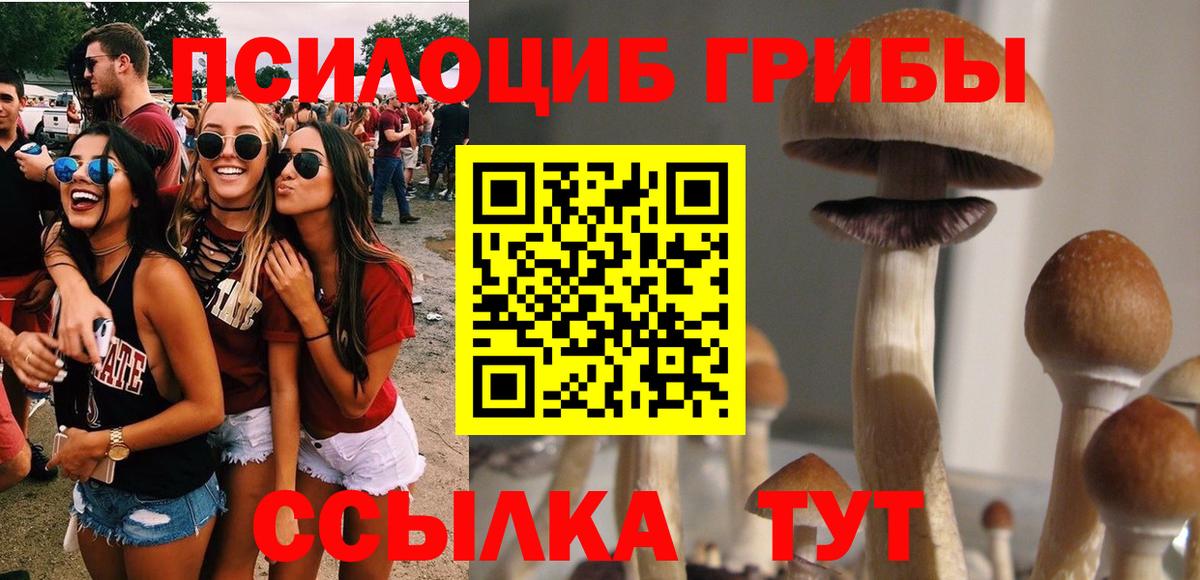 купить  цена  Псилоцибиновые грибы Magic Shrooms  Вход с VPN  Ангарск 